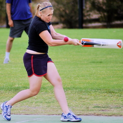 cricket