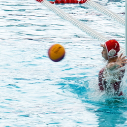 waterpolo