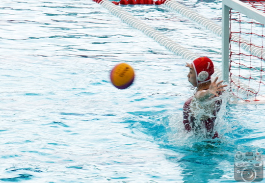 waterpolo
